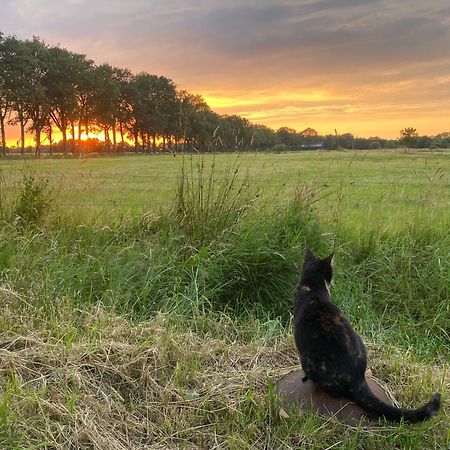 Kindvriendelijk Appartement De Hooge Stukken Onder De Rook Van Groningen Eelde-Paterswolde Eksteriør billede